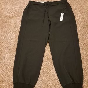 Mid Rise Dress Jogger